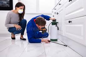 Best Residential Pest Control  in Litchfield Park, AZ