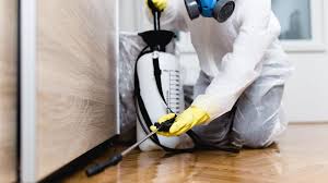 Best Pest Control for Hotels  in Litchfield Park, AZ